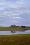 house reflected